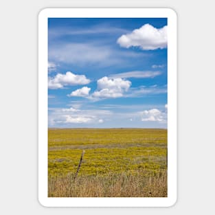 New Mexico landscape. Sticker